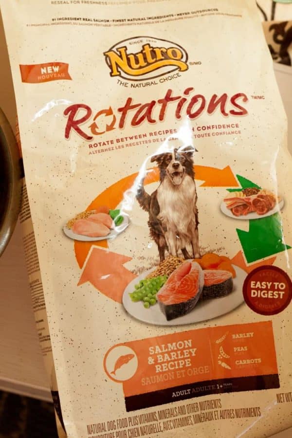 Dog Plays With Food Throw It Around Dog Plays With Food Throw It Around