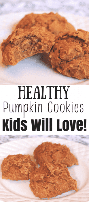 Easy Gluten Free Breakfast Pumpkin Cookies kids will love. Try this easy recipe for breakfast today. It is a winner.