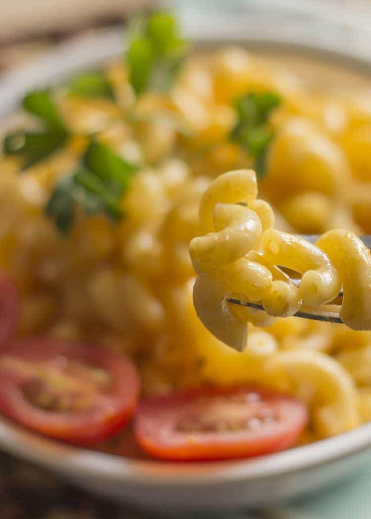 Low Fat Homemade Macaroni And Cheese