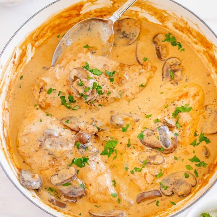 30 Minute Creamy Chicken Stroganoff All She Cooks