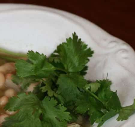 Slow Cooker White Chicken Chili is spicy, delicious and gluten free. This easy weeknight meal can be tossed together in the slow cooker in no time.