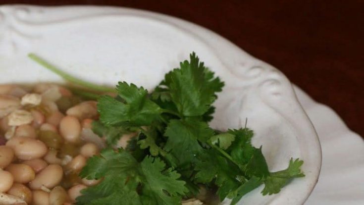 Crockin White Chicken Chili