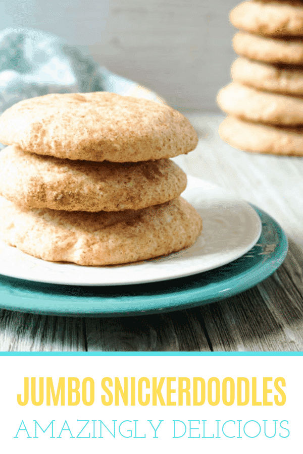 plate of snickerdoodle cookies on a white plate with more cookies in the background