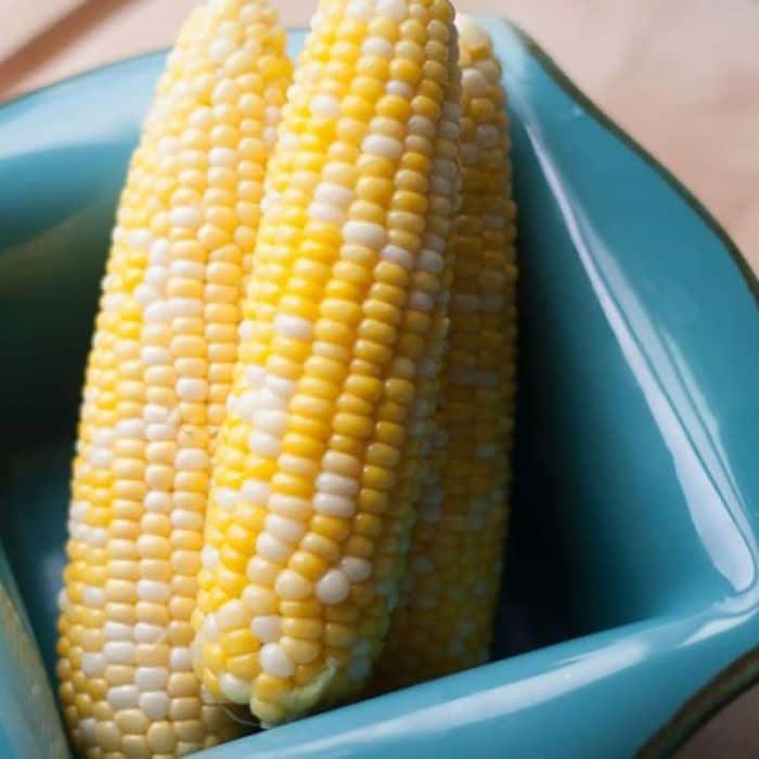 cooler corn on the cob in a blue dish
