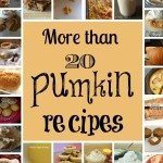 Permalink to: 20+ Favorite Pumpkin Recipes 20+ Pumpkin Recipes