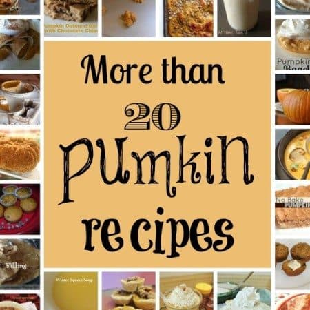 20+ Pumpkin Recipes