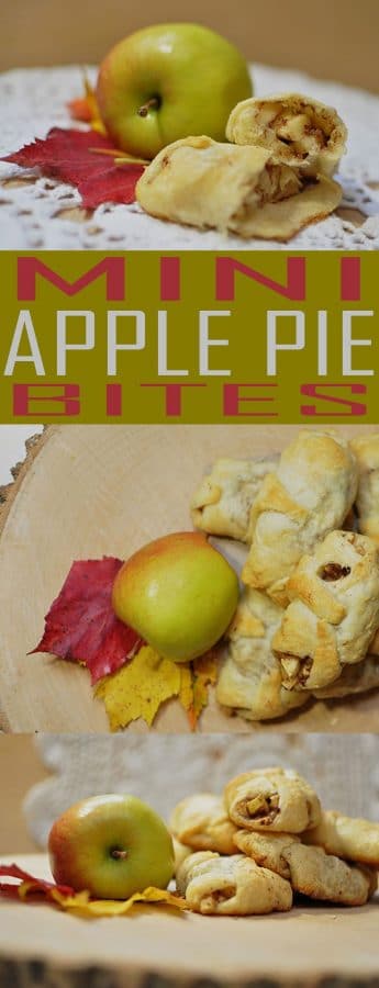 Mini Apple Pie Bites is the best fall apple pie dessert recipe that is an easy dessert to make. Enjoy apple pie bites for a fall flavored dessert tonight.