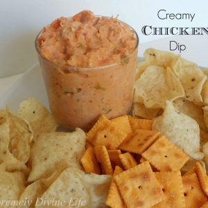 Creamy Chicken Dip