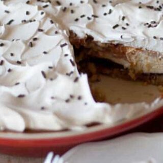 Five Layer Pie is the newest addition to my holiday dessert menu. Think pumpkin pie, chocolate pie and all kinds of sweet tastes combined. This will be a new dessert favorite.