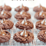Permalink to: Chocolate Blossoms Chocolate Blossoms