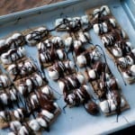 Permalink to: S'mores Bites S'mores Bites