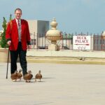 Permalink to: Take it Easy on Beale Street: Where to Stay in Memphis peabody ducks