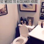 Permalink to: A Little Clean Potty Humor AKA How to Clean a Toilet how to clean a toilet