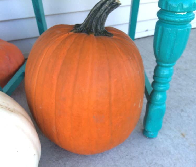 painted pumpkins