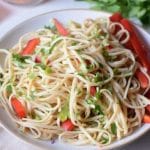 Permalink to: Cantonese Pan Fried Noodles Cantonese Pan Fried Noodles is an easy recipe that incorporates colorful vegetables into a plate of delicious noodles. Get ready for a new favorite meal.
