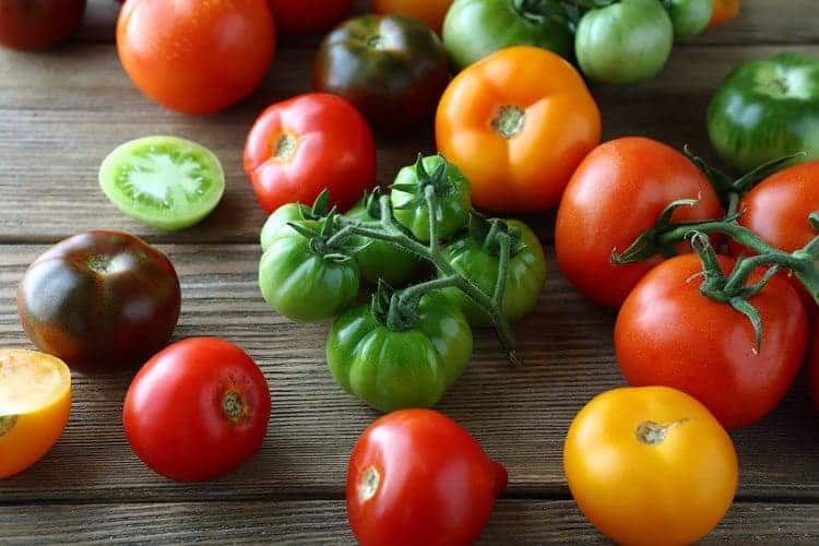 Preserving tomatoes is one of the best ways to keep eating fresh vegetables all year long. Learn how to freeze tomatoes and enjoy the food you eat.