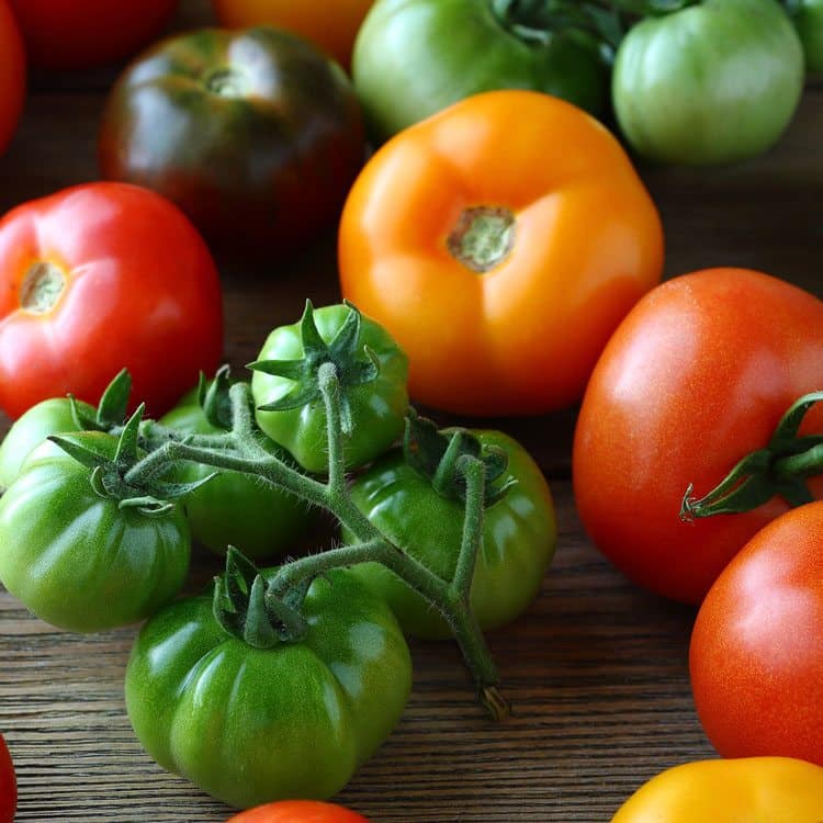 Preserving tomatoes is one of the best ways to keep eating fresh vegetables all year long. Learn how to freeze tomatoes and enjoy the food you eat.