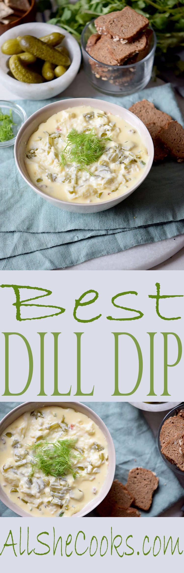 Best Dill Dip recipe is delicious and simple to make. With just a few ingredients, this appetizer dip is a winning recipe.