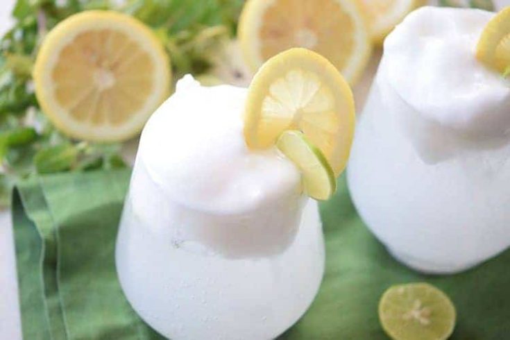Lemon Lime Floats