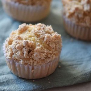Easy muffin recipe perfect for breakfast muffins. Oatmeal muffins are delicious and perfect for the morning meal.