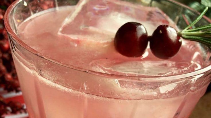 Festive Cranberry Margaritas