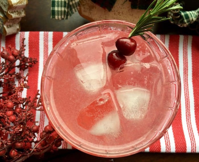 closeup of a cranberry margarita