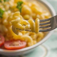 Weight Watcher Friendly Easy Mac And Cheese