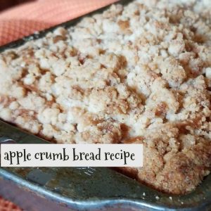 Use fresh apples to make this delicious crispy apple crumb bread recipe.