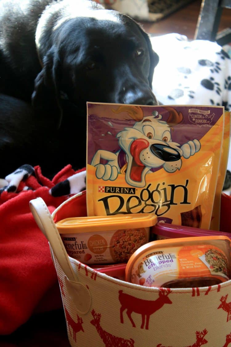 basket for dog toys amazon