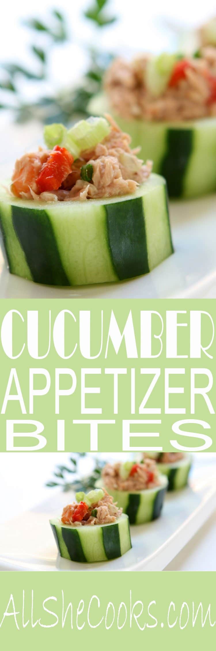 easy-appetizer-recipes Cucumber Cup Appetizer Bites are an easy appetizer to make for a quick appetizer that looks elegant.