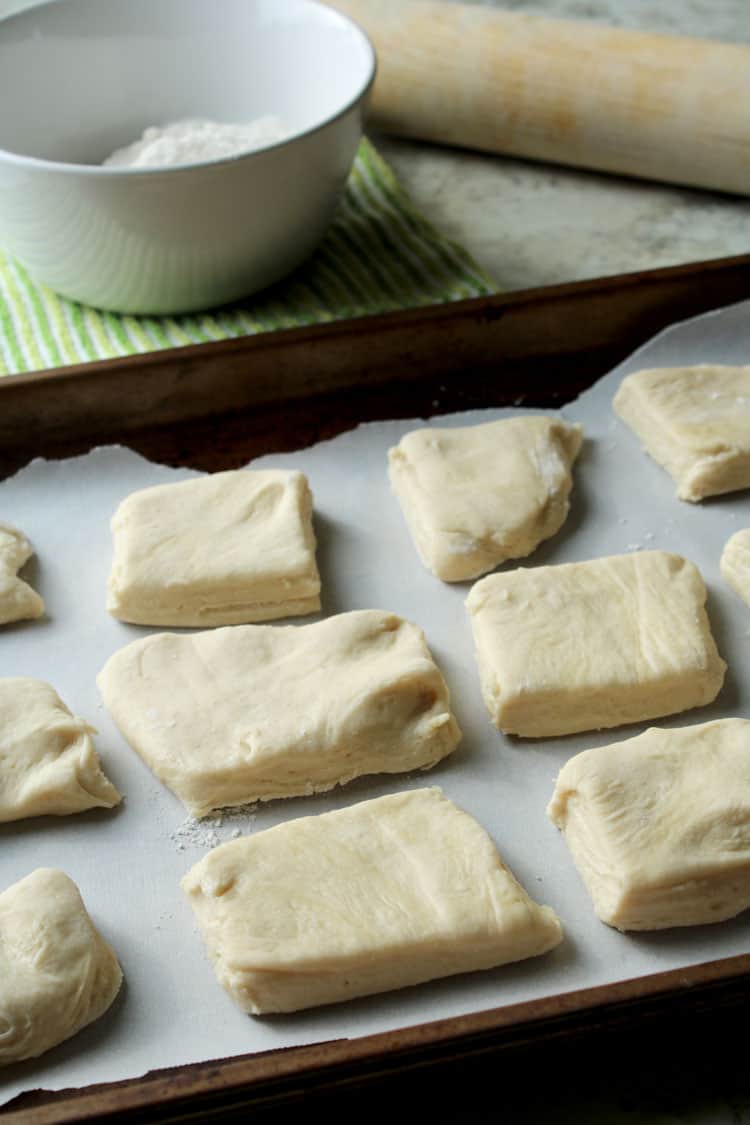 easy yeast rolls dough cut into pieces sitting on parchment paper on a pan with rolling pin in background