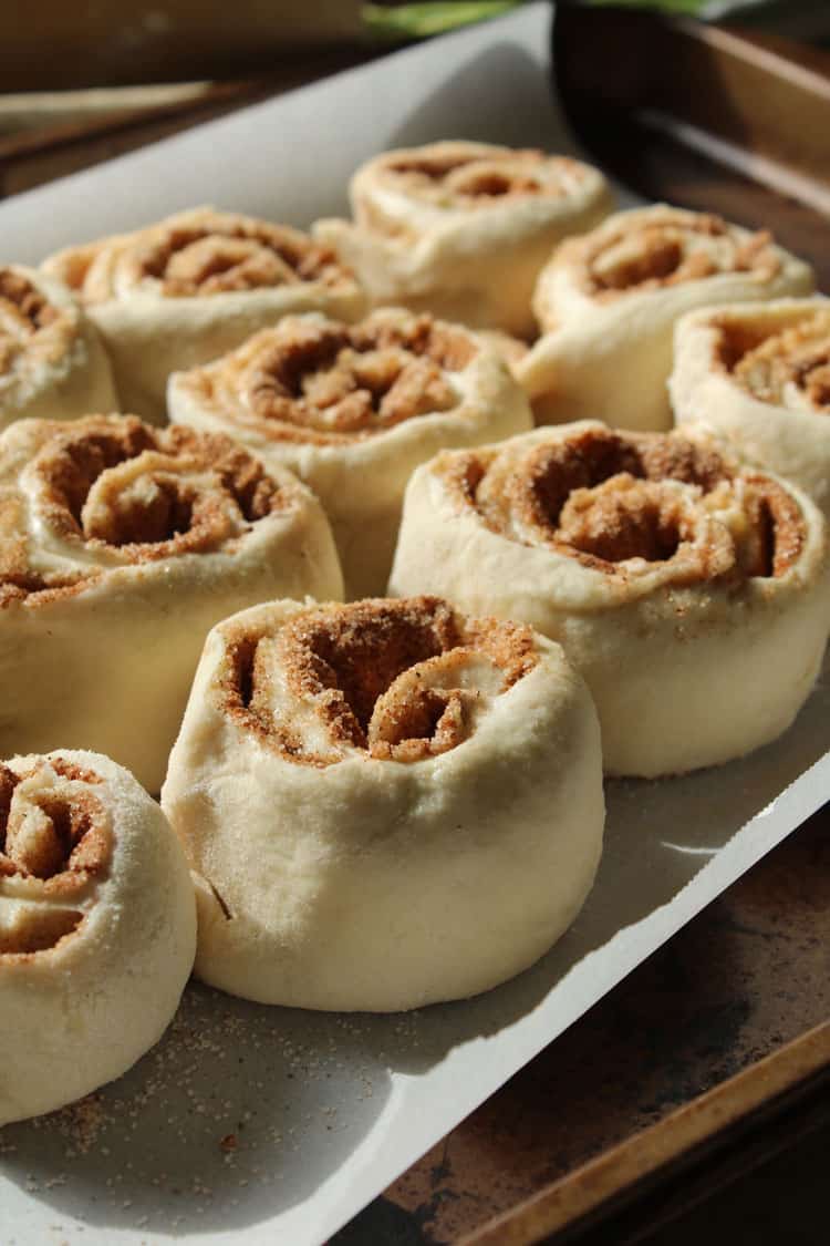 closeup shot of twelve homemade cinnamon rolls rising on parchment paper on a pan