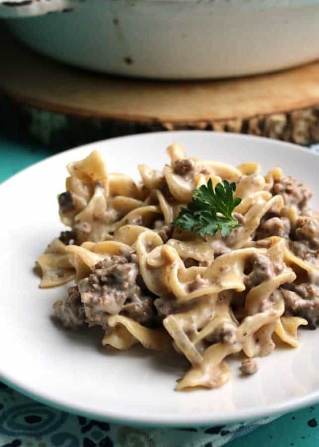 Hamburger Stroganoff Weight Watchers 