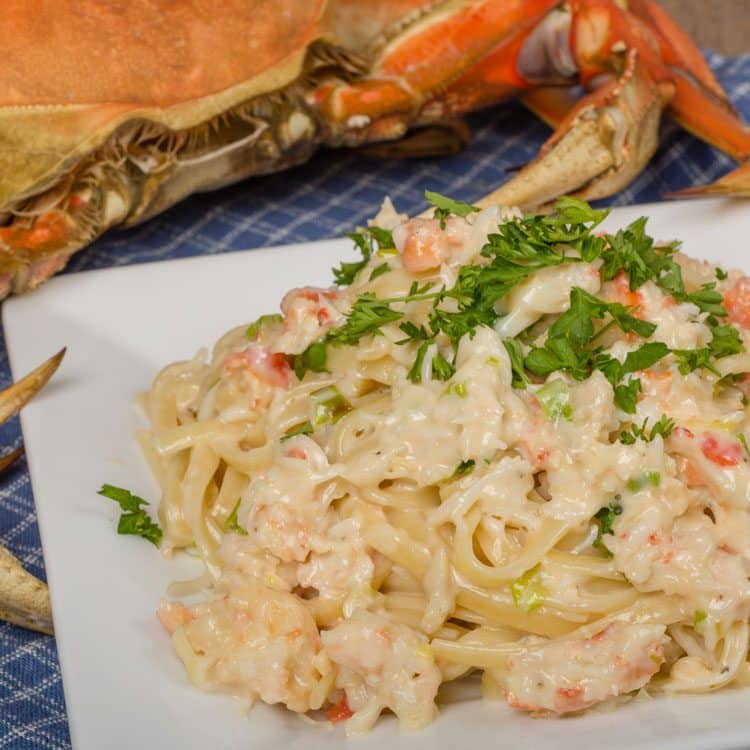 Crab Alfredo on white plate with king crab