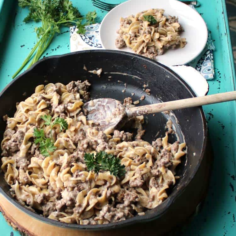 Weight Watchers Hamburger Stroganoff