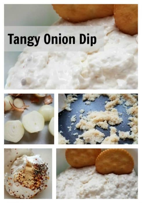 Why buy it when you can make your own tangy onion dip. Perfect for parties.