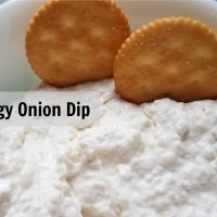 Tangy Onion Dip