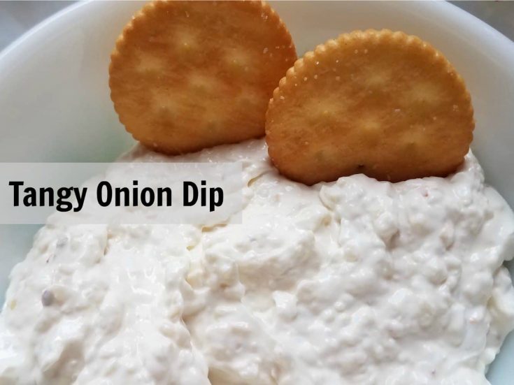 Tangy Onion Dip