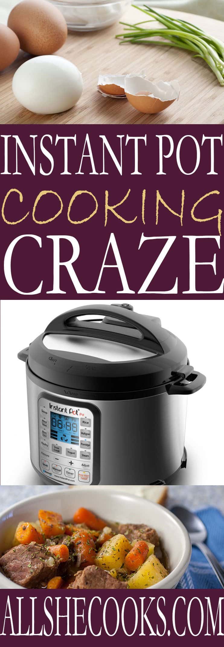 Join the Instant Pot Cooking craze and learn how to make fast and easy meals at home that are healthier and more nutrient rich, all with the Instant Pot. You will love all these instant pot recipes.