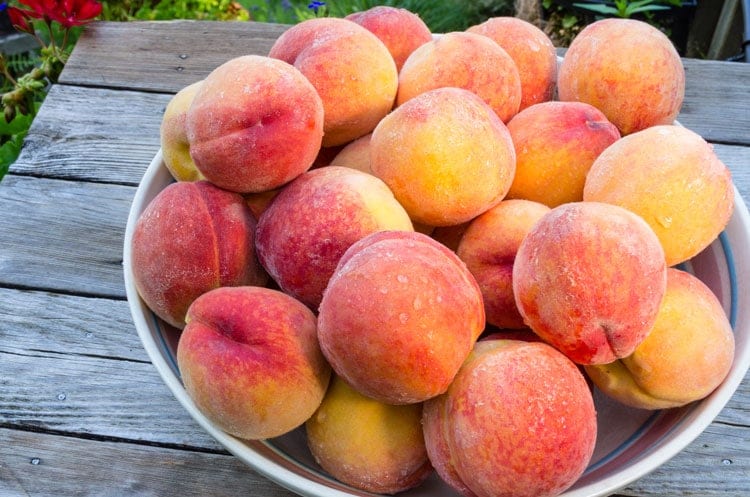 best peach recipes