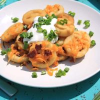 Campfire Loaded Fries