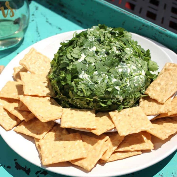 Cilantro Cheese Ball Recipe