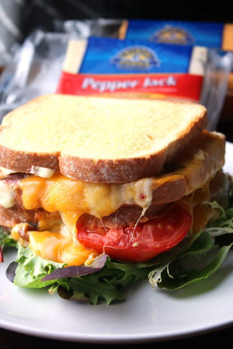grilled cheese sandwich that adults will like