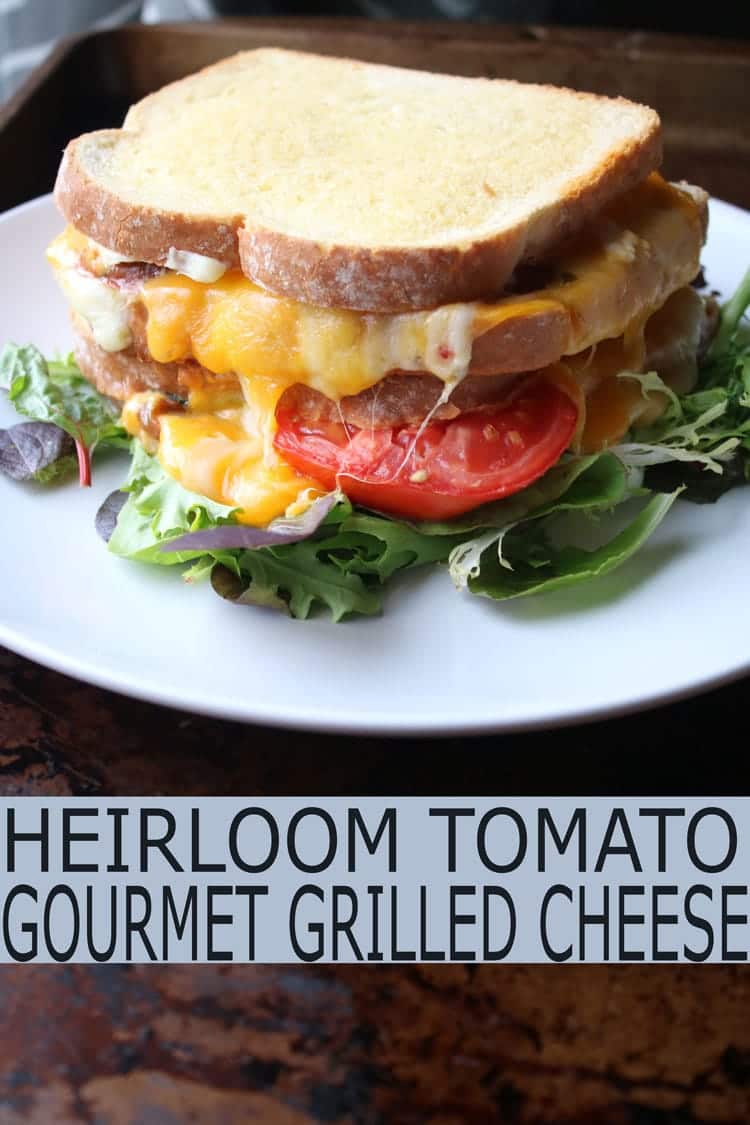 heirloom tomato gourmet grilled cheese sandwich