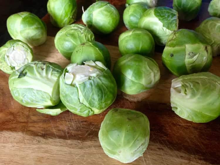 fresh brussels sprouts for cooking