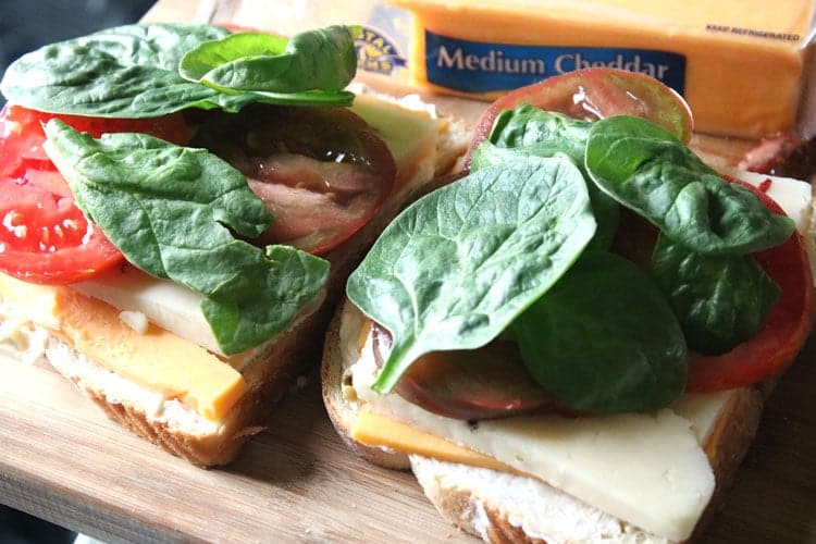 delicious grilled cheese sandwiches for adults