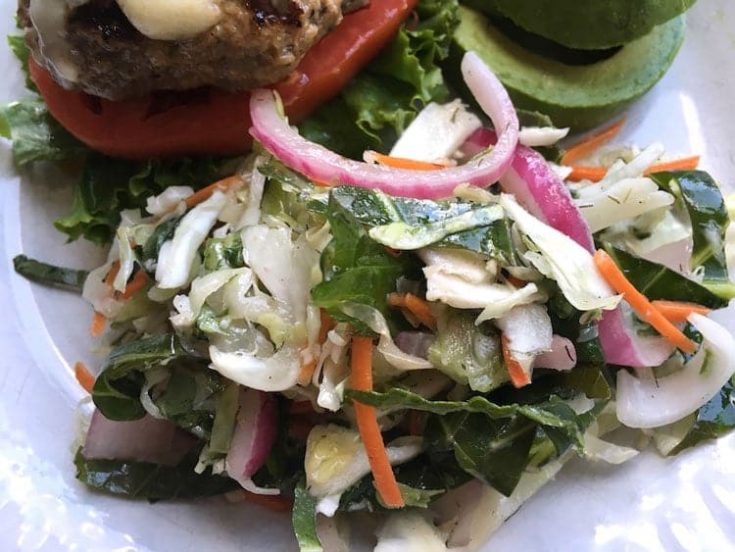 Carolina Coleslaw