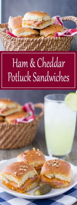 Easy Ham & Cheddar Potluck Sandwiches - Easy Make Ahead Recipe - All ...