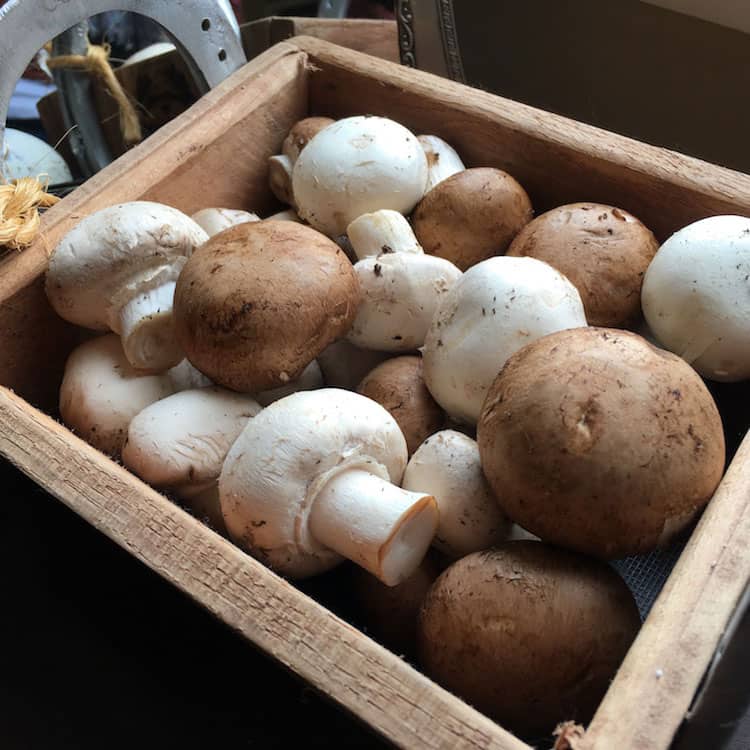 best mushrooms for bruschetta