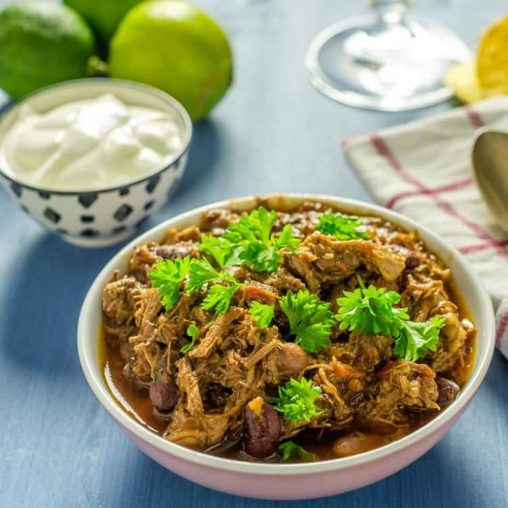 Instant Pot Pork Carnitas Recipe